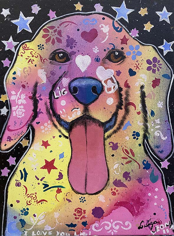 Pet - 30 x 40 - Ast
